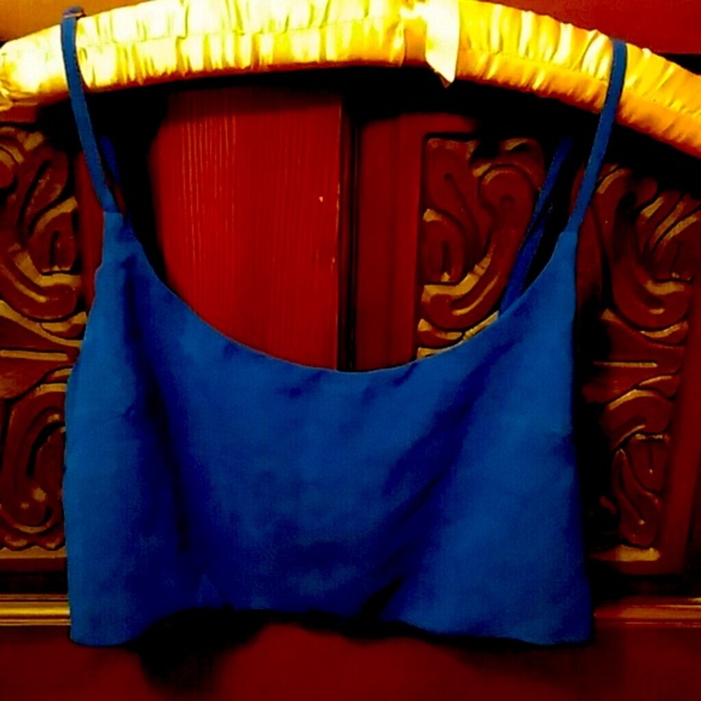 Brandy Blue Crop Top!